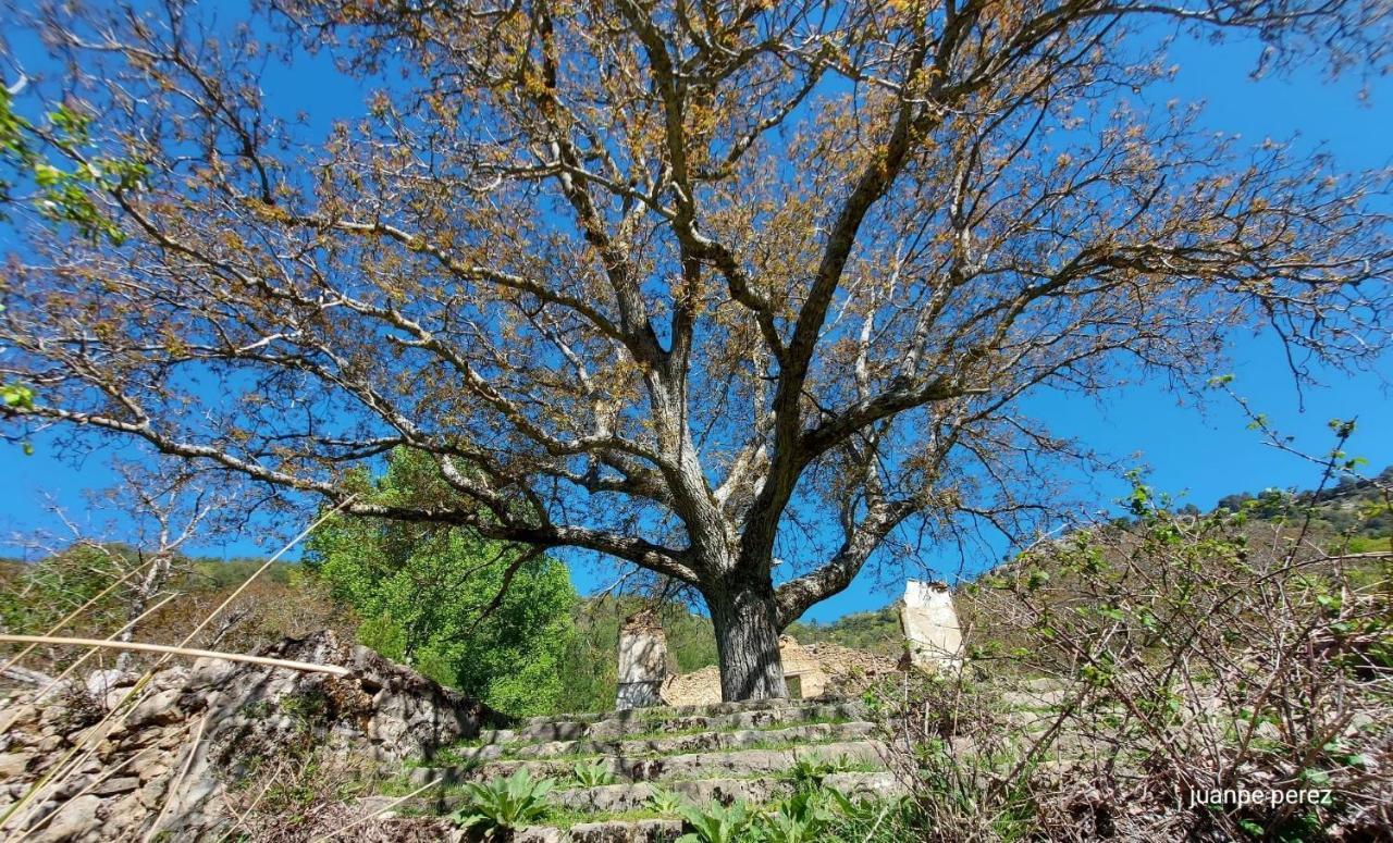 Villa Forastera Arroyo Frio Buitenkant foto
